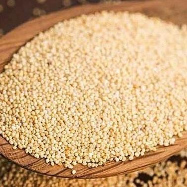 

(Good) KASKAS BIJI KASKAS BIJI POPPY POPPY SEEDS