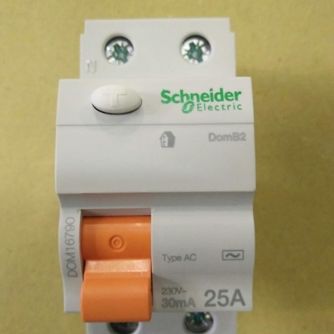 ELCB/RCCB 2P 25A Schneider