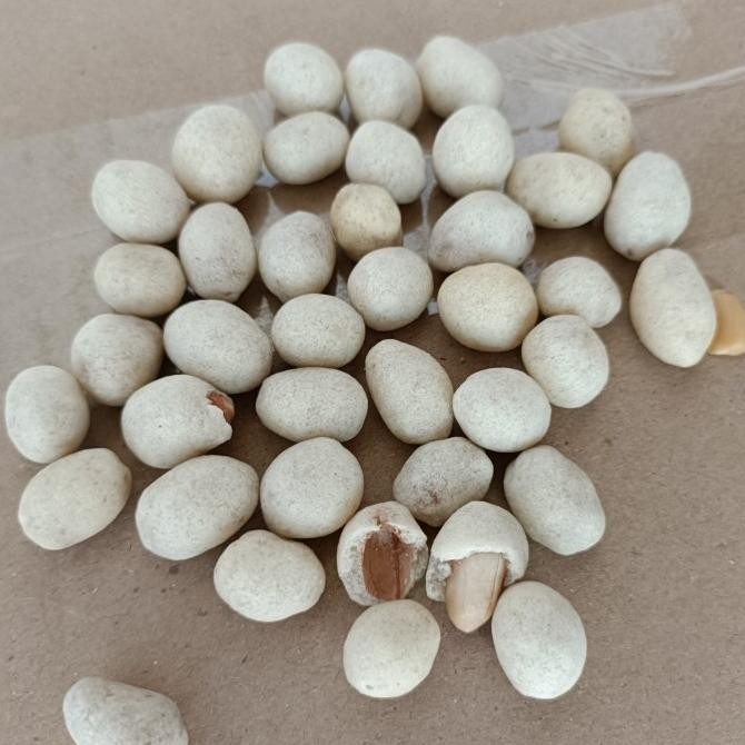

(Good) Kacang shanghai OKE 225 gram