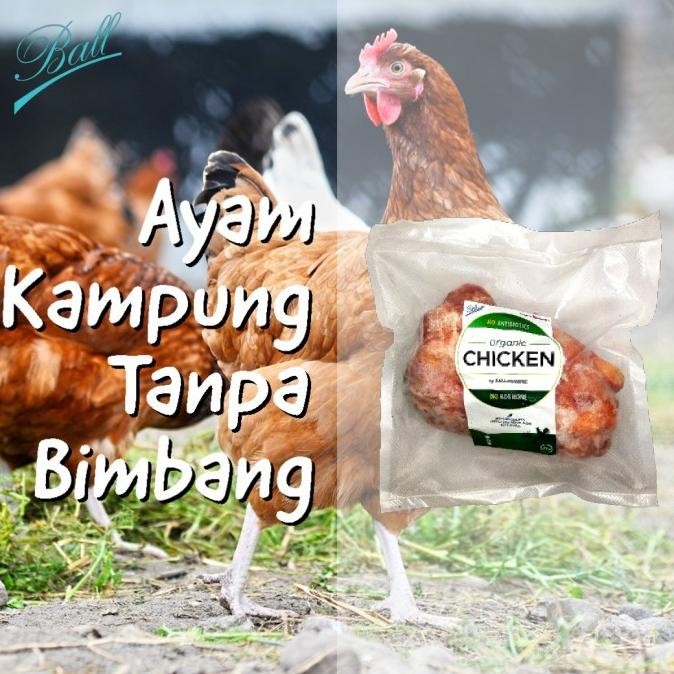 

(Good) Ayam Kampung Organik Ball