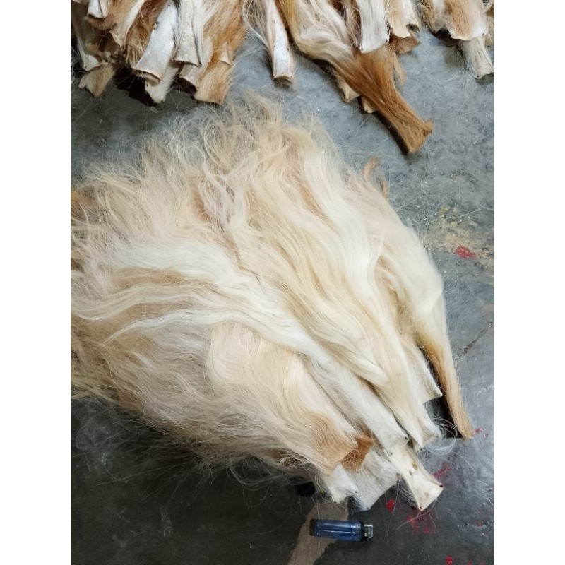 

ekor sapi kering sepaket dan superan