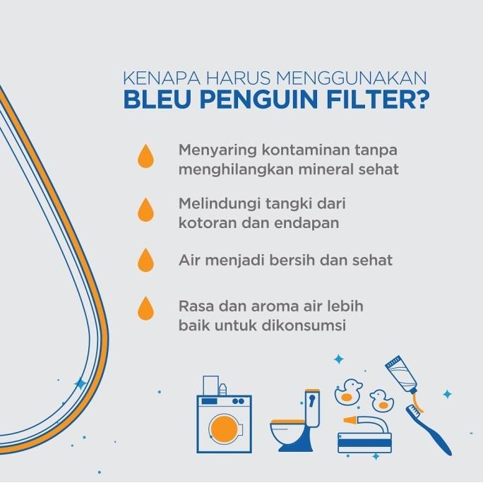 Bleu by Penguin - CTO filter