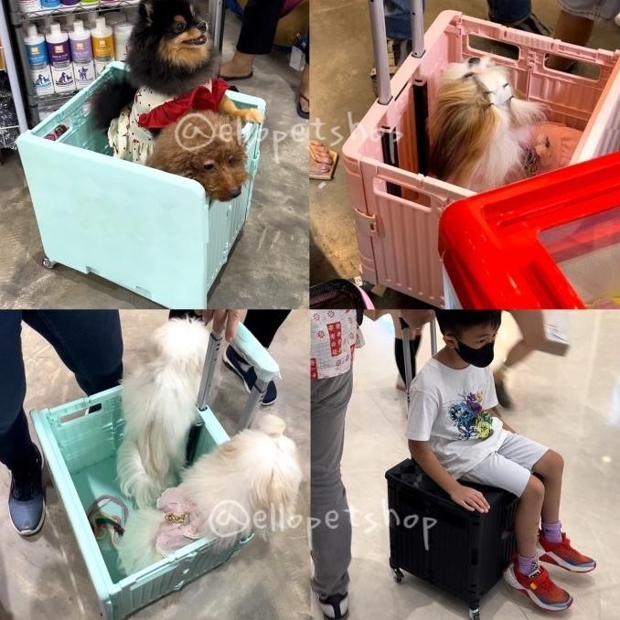 Box Troli 65L / Troli Anjing Besar 65 / Troli Lipat Barang /Pet Troli New Stok