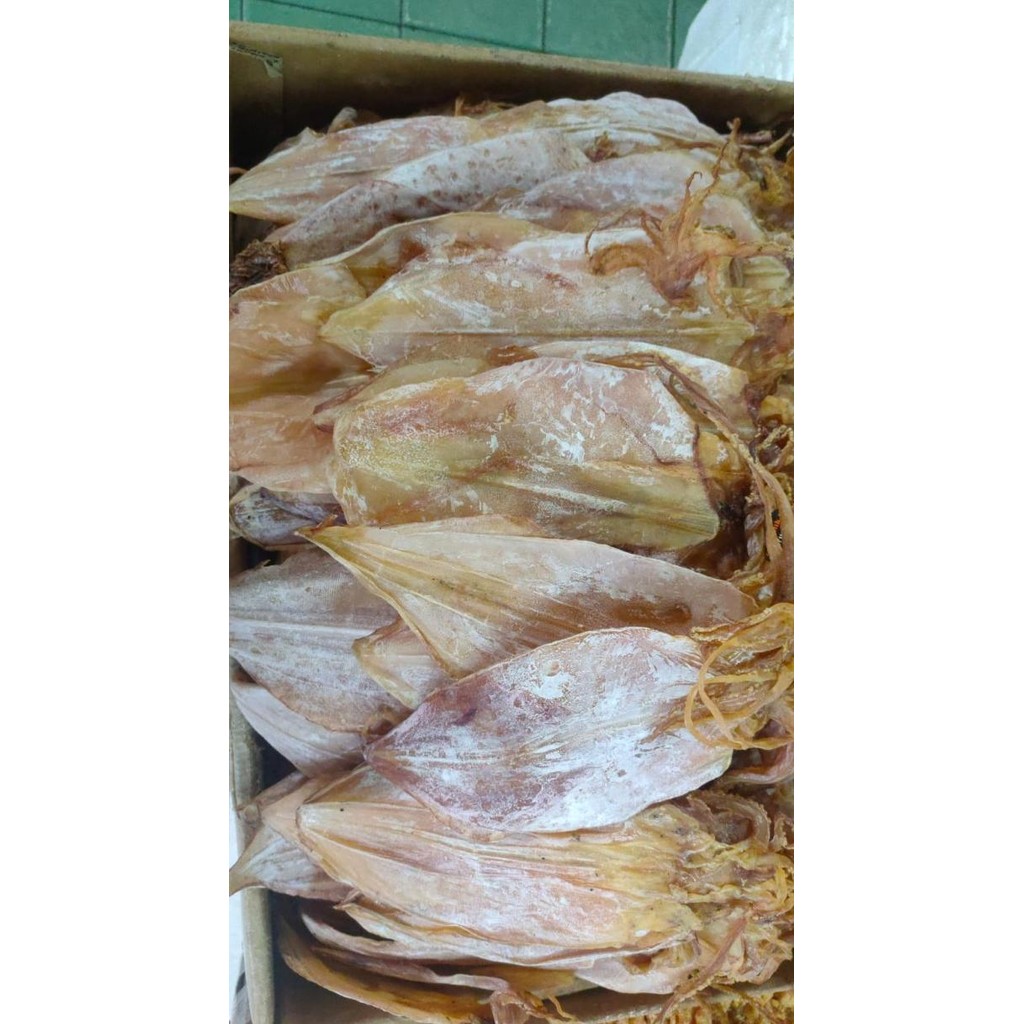 

Juhi Bangka Wangi Super Quality Export 1Kg