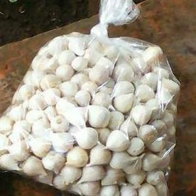 

Bawang Putih Tunggal/Bawang Lanang 250gram Herbal alami murah