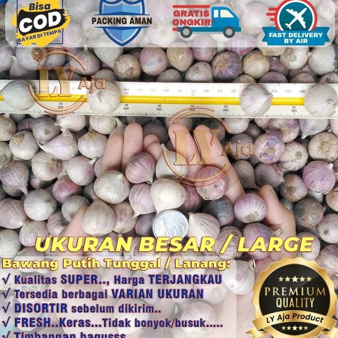 

Bawang Putih Tunggal Lanang 1 Kg 1Kg Kualitas Super LY Aja [terbaik]