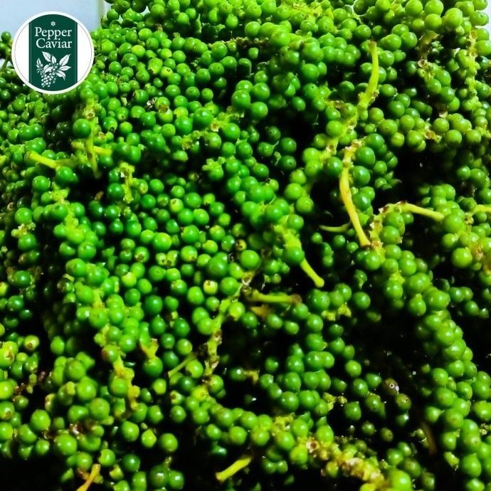 

Pepper Caviar Brined Pepper Size L / lada hitam spice murah