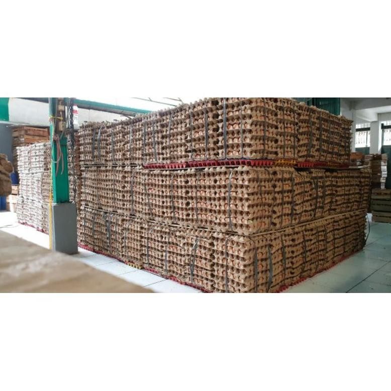 

H-4 Telur Ayam Negeri Premium - 30 Pcs / Tray Grade A Fresh Bersih Kualitas Terbaik