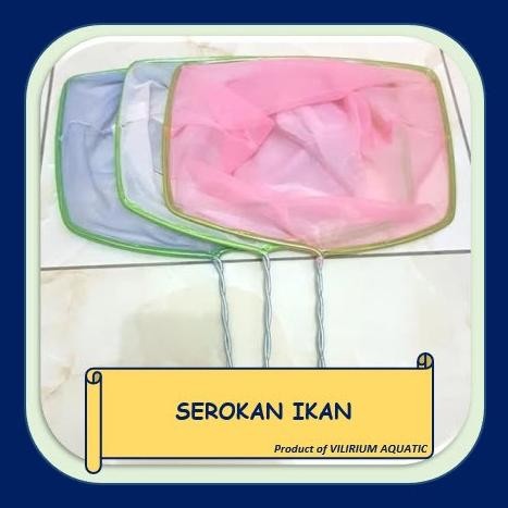 Murah IKAN HIAS AIR TAWAR - SEROKAN IKAN (STD) Non COD