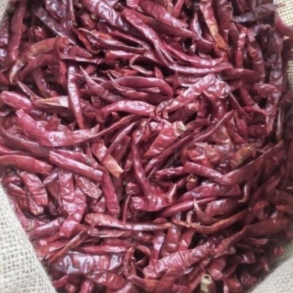 

Cabe Rawit Teja Merah Ering 1G Dijan Peda Dan Freh