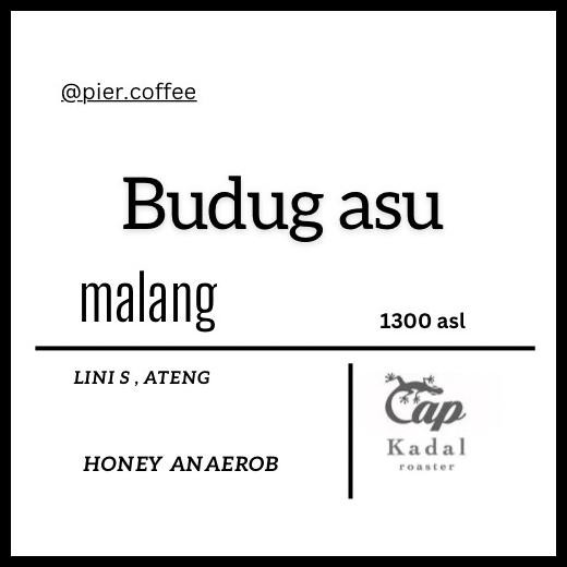 

Arjuna Budugasu Honey Anaerob 200 Gr Original Best Seller
