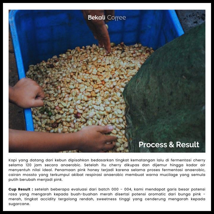 

Anaerobic Honey 120 Hours Single Variety Caturra Mekarwangi - Greenbean Original Best Seller