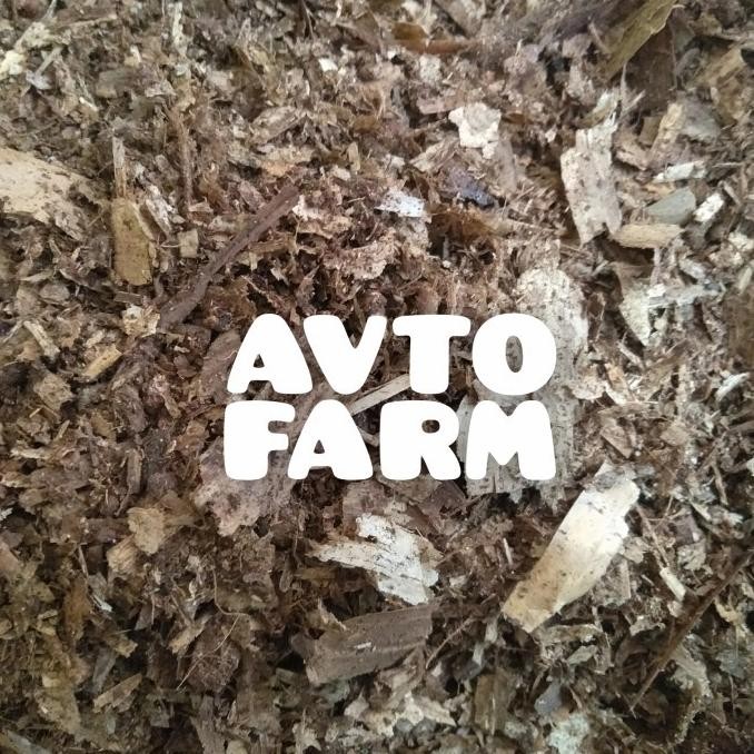 [Good] humus bambu hutan murni 1kg