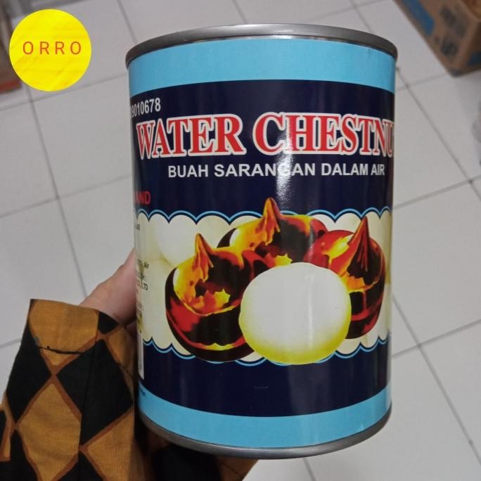 

,,,,,,,] water chestnut kaleng 567gr