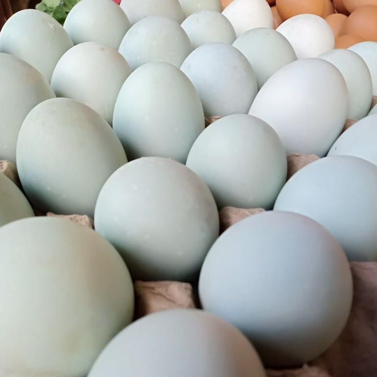 

Fb-43 Telur Bebek Asin Matang Per Butir