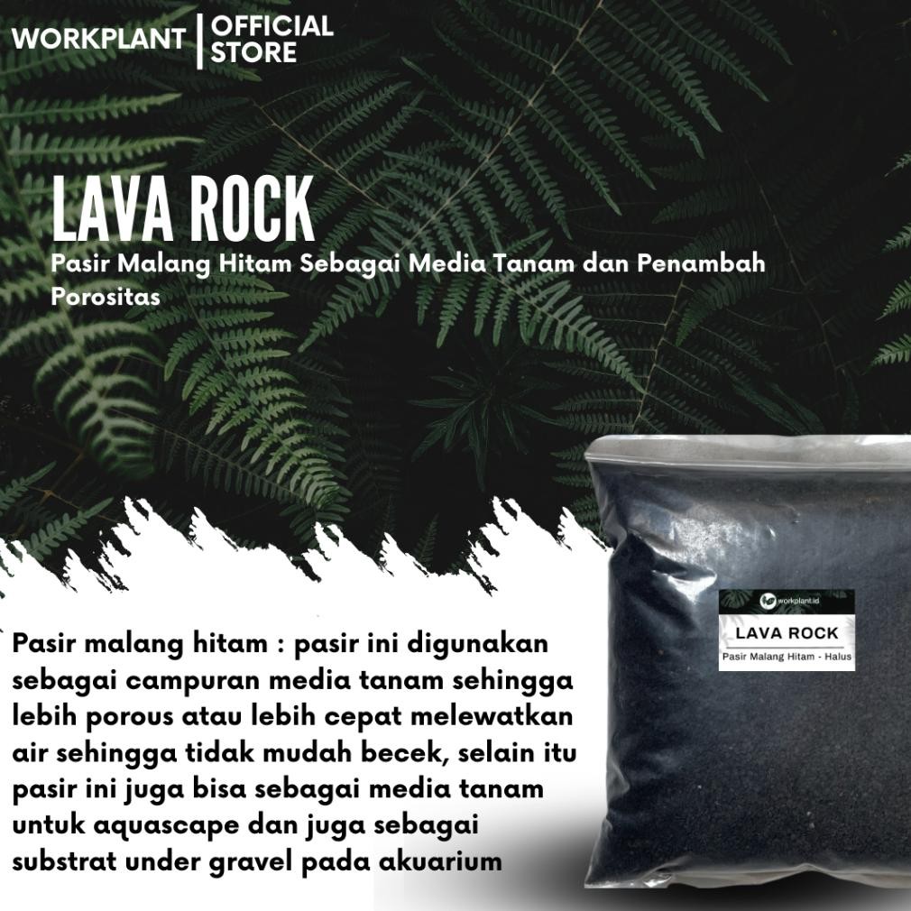 Bisa Cod Workplant - Lava Rock Pasir Malang Hitam Untuk Media Tanam ><