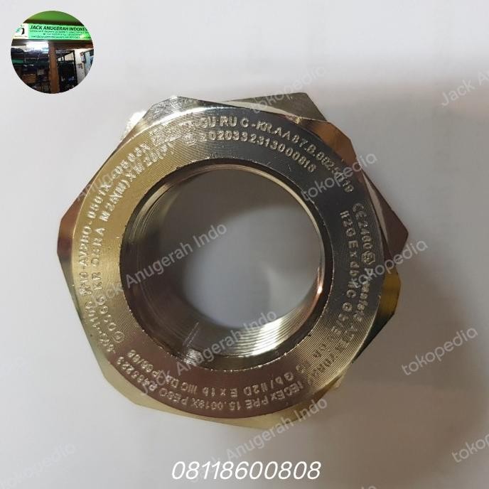 Oscg Osra Eex Proof Reducer Cable Gland M25 M X M20 F Brass  Nikel New Stok