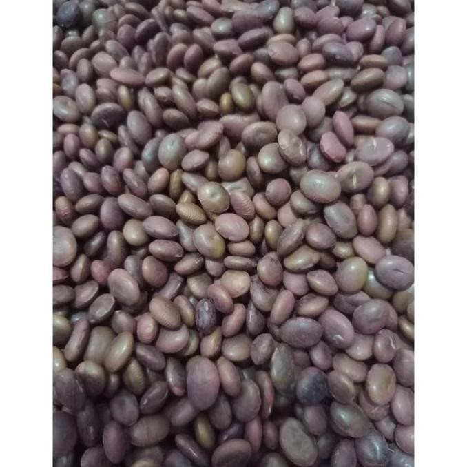 

fresh !!! Benih Bibit Biji - Kacang CHAMAME (Edamame Aroma PANDAN) - 250 Gram