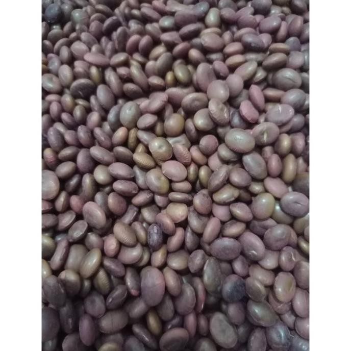 

fresh !!! Benih Bibit Biji - Kacang CHAMAME (Edamame Aroma PANDAN) - 100 Gram
