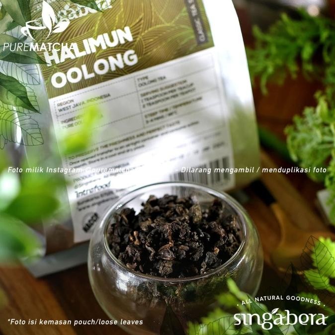 

Grosir Singabera Tea - Halimun Oolong Tea 100Gr Indonesian Oolong Tea Premium