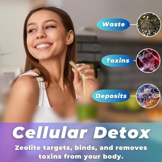 

Sale Todicamp Zeolite Detox Sorbolit Ultra Fine 1-2 m Clinoptilolite Powder 95% 3X Activated - 120 Capsules