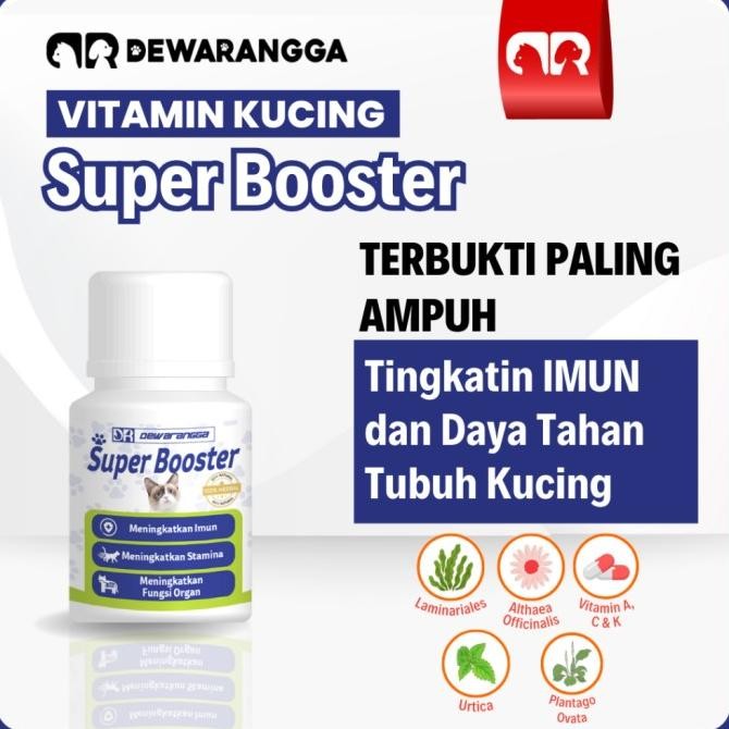Super Booster Vitamin Kucing Dewarangga - Vitamin Imun Tubuh Kucing
