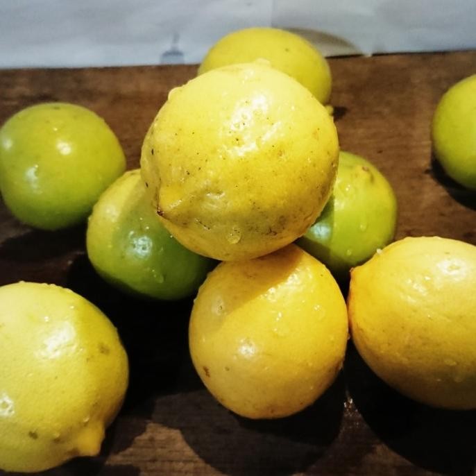 

jeruk lemon lokal 1 kg nUg