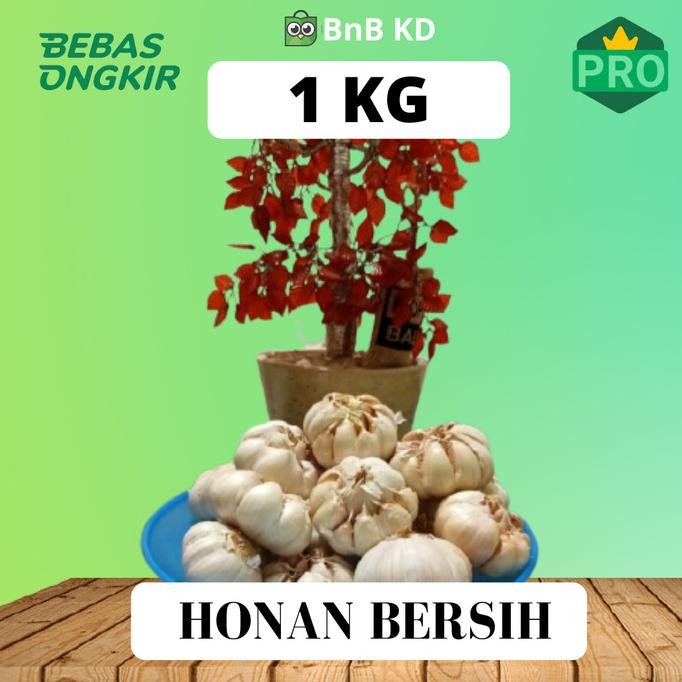 

BAWANG PUTIH HONAN/BANCI BERSIH 1 KG nUg