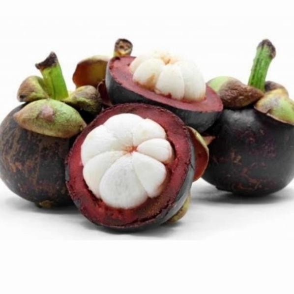 

Buah Manggis Fresh Segar - 500gr nUg