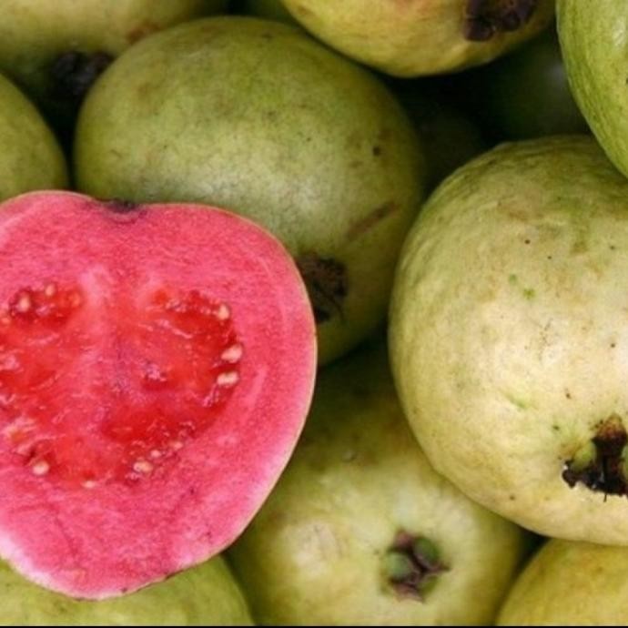 

JAMBU BIJI MERAH MATANG 1kg nUg