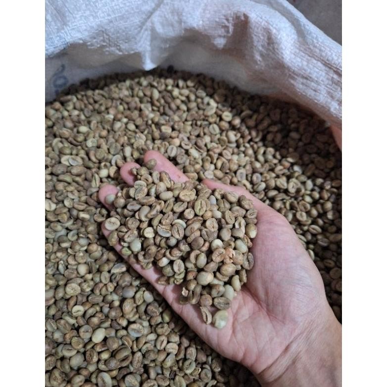 

Ready Greenbean Robusta Batang Berat 1 Kg