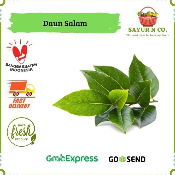 

Daun Salam | Sayur N Co Bekasi nUg