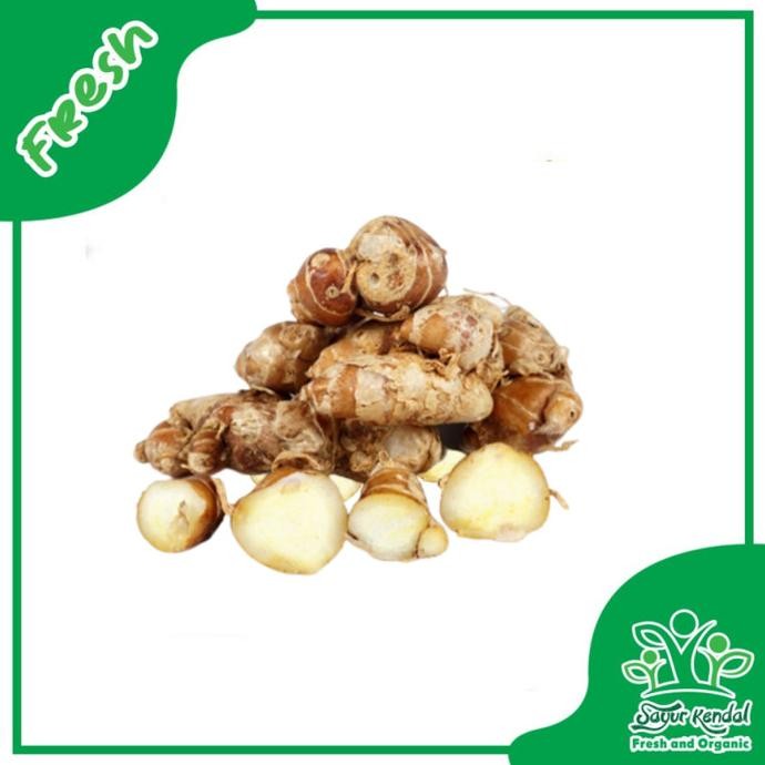 

Kencur (250gr) - Sayur Kendal nUg