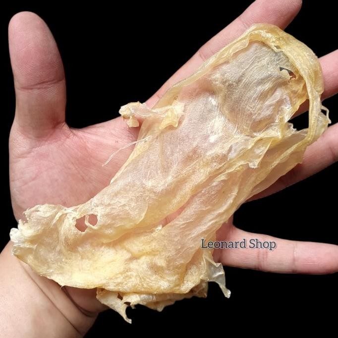 

Sale Perut Ikan Super 100Gm Hipio Yi Phiau Belly Fish Gelembung Kakap Hupio