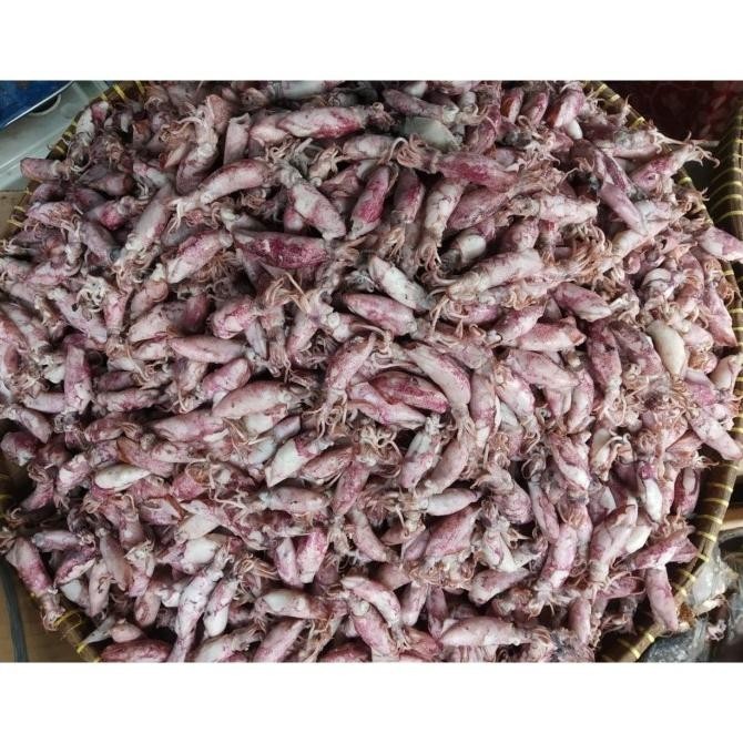 

Murah Jual Cumi Baby Asin 1Kg