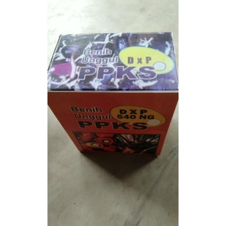 bibit sawit unggul DxP PPKS 540 asli medan