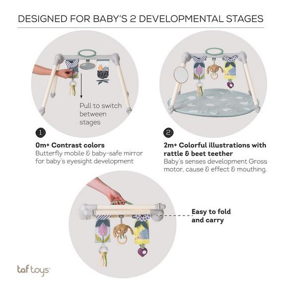 Taf Toys Urban Garden Foldable Gym - Playgym Bayi Playmat Anak Lucu