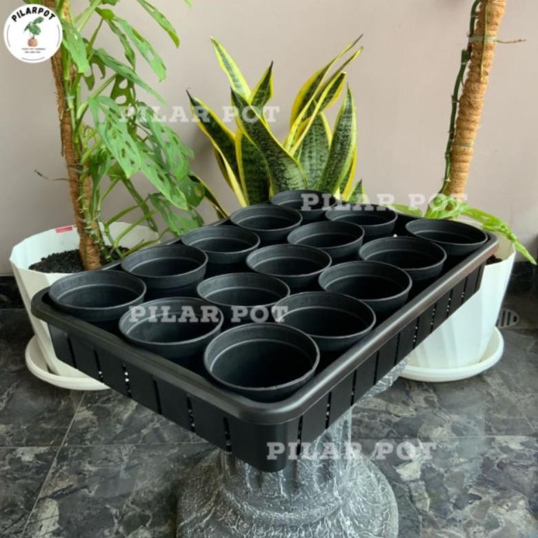 1 SET TRAY + 15 PCS POT HITAM 10CM | TRAY POT NKT 50CM | TRAY SEMAI BIBIT