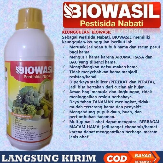 new  500 ML Obat Hama Walang Sangit Paling Ampuh, BIOWASIL Pestisida Walang Sangit Semprot - Obat Un