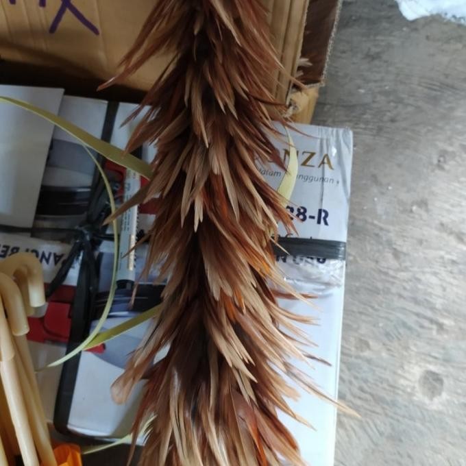 kemoceng bulu ayam jumbo/kemoceng besar