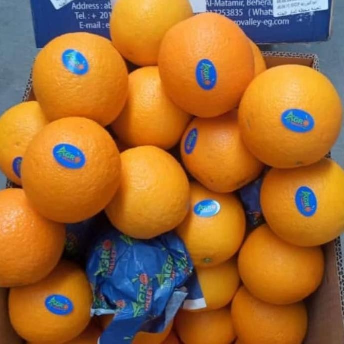 

Sale Sunkis Valencia 1 Box