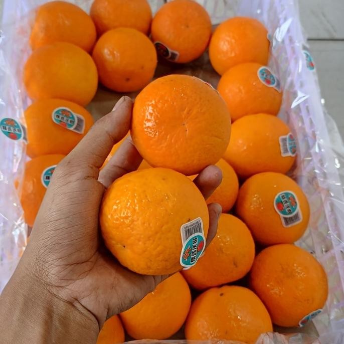 

Grosir (1 Krat) Jeruk Wokam Murcot / Jeruk Mandarin / Jeruk Manis /Buah Segar