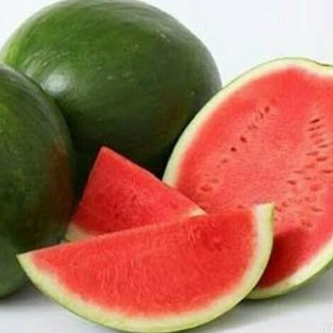 

Sale Semangka Tanpa Biji (4,5-5 Kg)