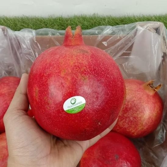 Grosir Buah Delima Merah Import Mesir 1 Dus