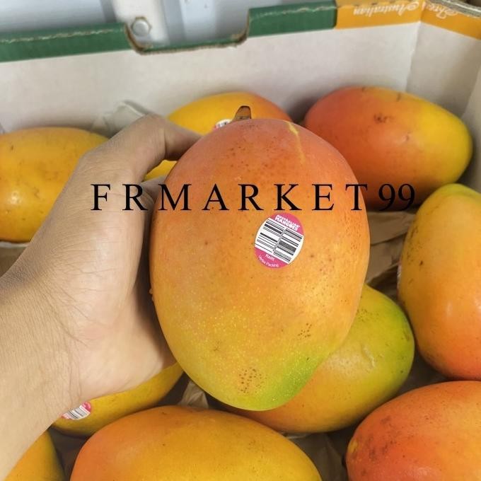 

Grosir Mangga Peach Australia Original / Mango Australia Super / 1 Pcs
