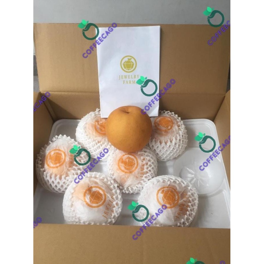 

Murah Buah Pear Pir Hita Japanese 1 Dus (4.5 Kg) Fresh Import