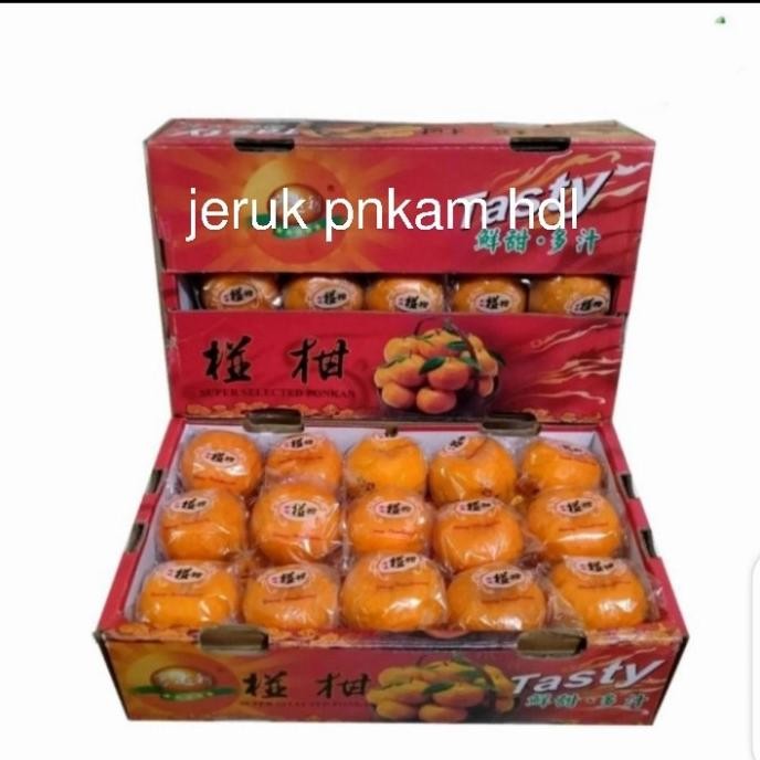 

Grosir Spesial Gift Jeruk Ponkam Hdl Testy Fresh Isi 36 Buah Jeruk Manis