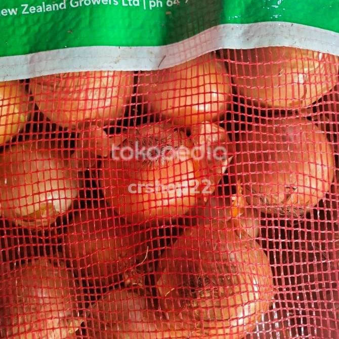 

Grosir Jual Bawang Bombay Besar 10 Kg