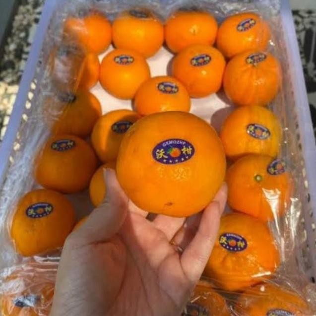 

Murah Jeruk Wokam Keranjang Fresh Per 1 Kranjang