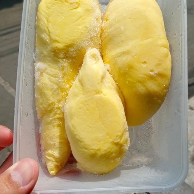 

Murah Durian Montong Canne 500 Gram
